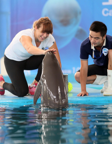 直接进入竞 直接进入竞